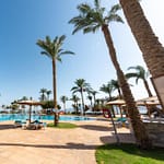 wyjazdy windsurfingowe Dahab Lagoon