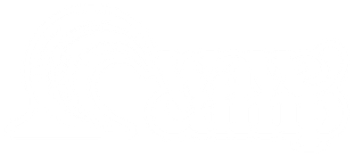 Logo Wavecamp białe